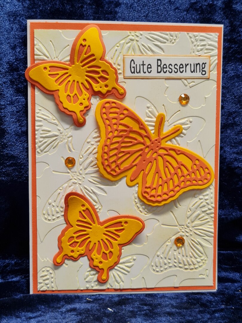 Schmetterlinge