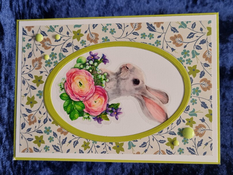 Hase grüner Hintergrund