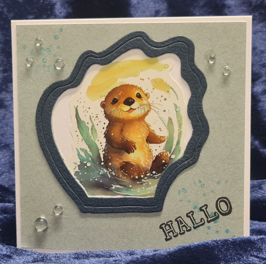 Hallo