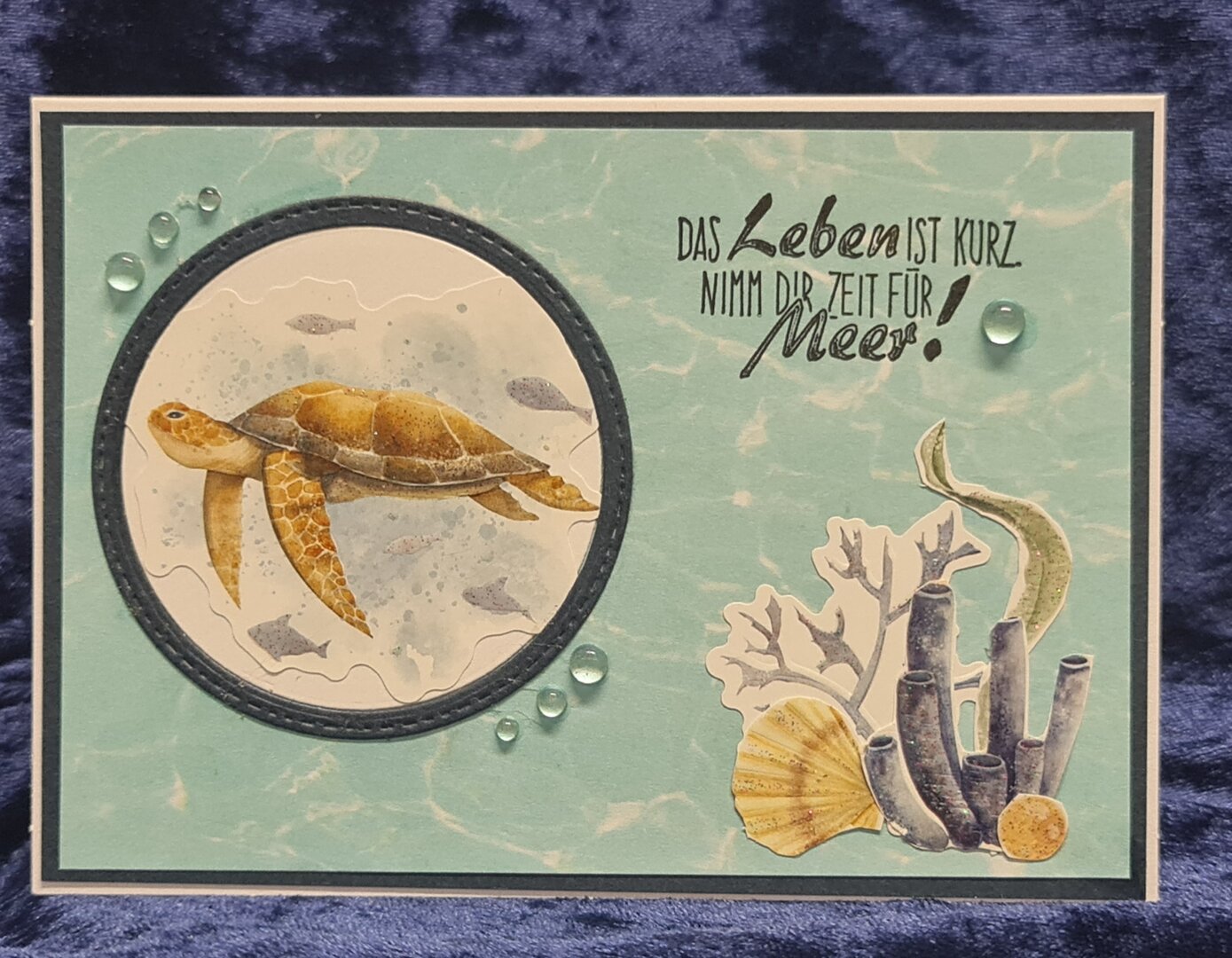 Das Leben ist kurz...
